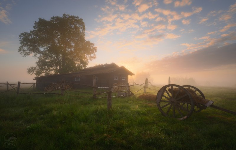 пейзаж, природа, утро, туман, деревня, телега Утро в деревне фото превью