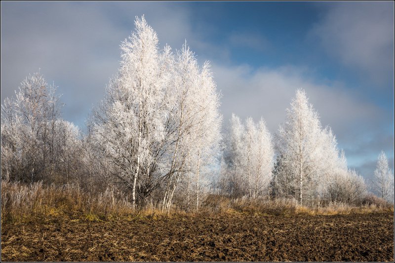 россия, владимирская обл Ноябрь морозный фото превью
