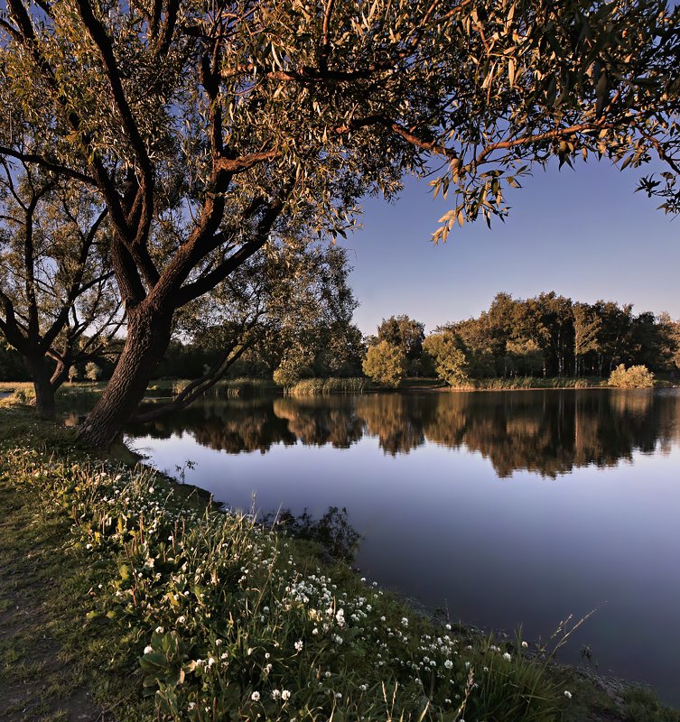 *** фото превью