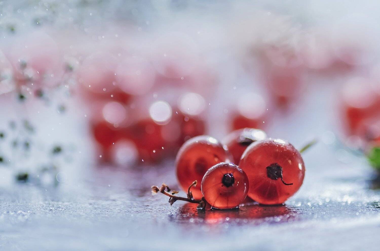 ягодки,красная смородина,бокэ,размытие, Владимир Володин