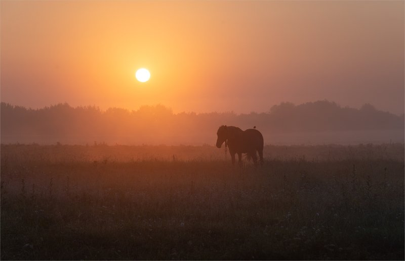 serenity... фото превью