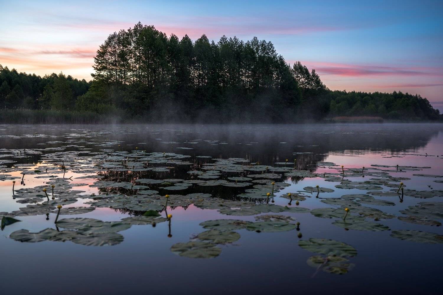, Руслан Авдевич