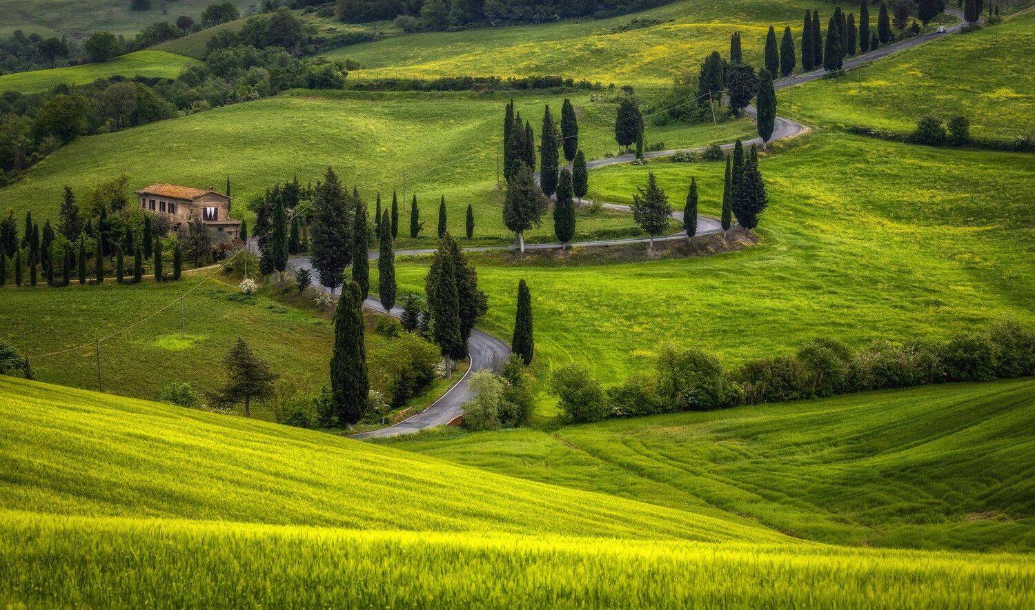 дорога, поля, холмы, Александр Безмолитвенный