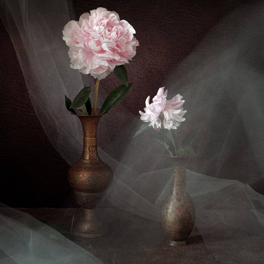 , Татьяна Аверина