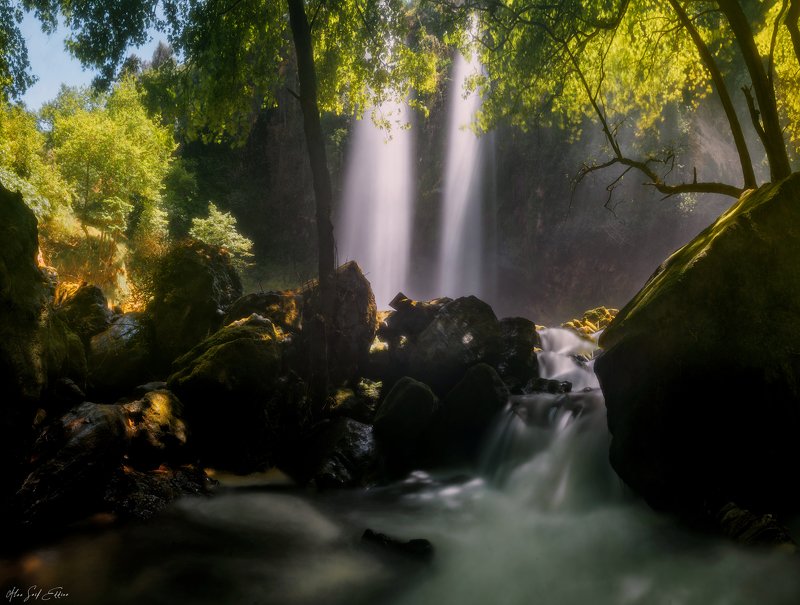 landscape nature light In the Jungle фото превью