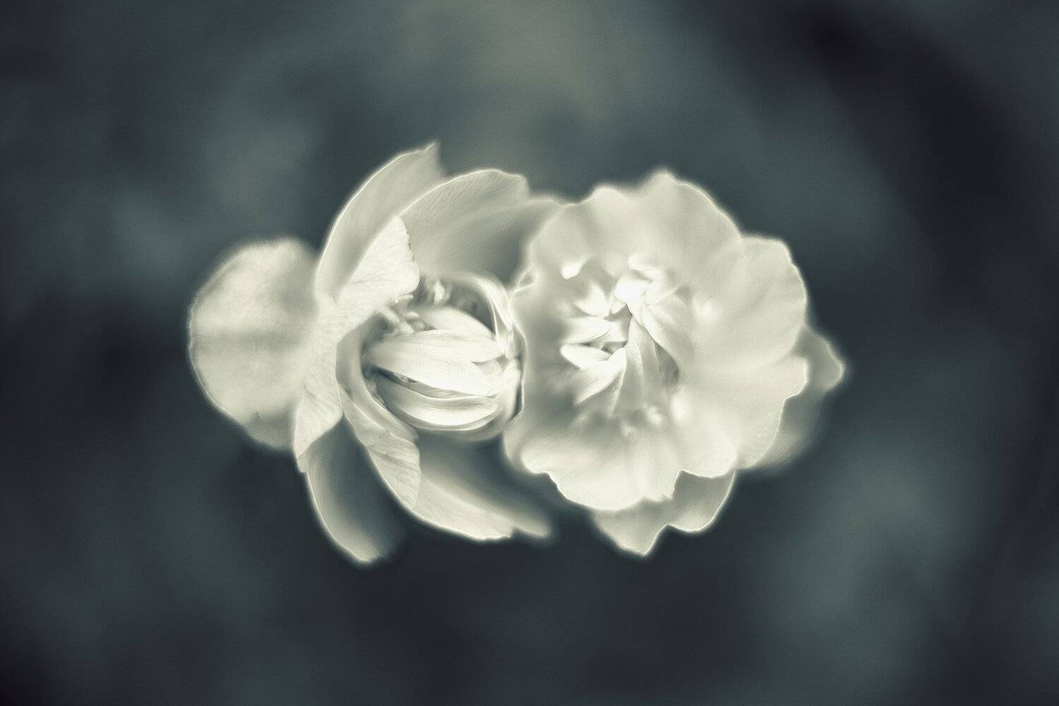 , Никита Арзамасов