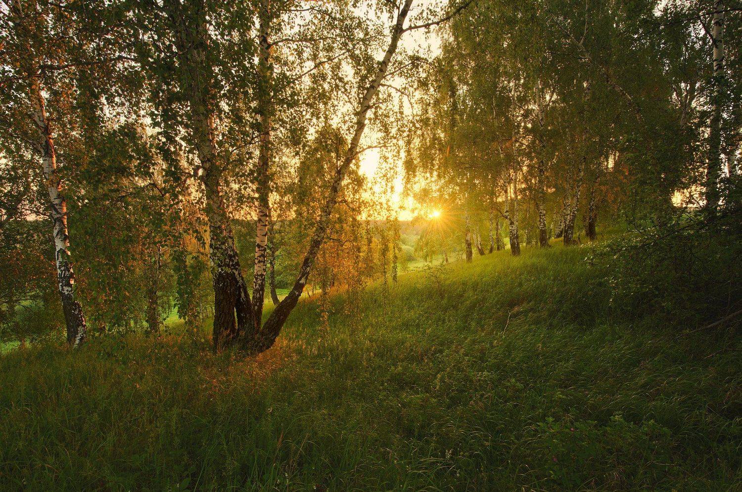 , Бурцев Дмитрий