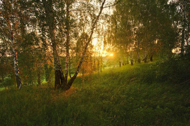 * фото превью