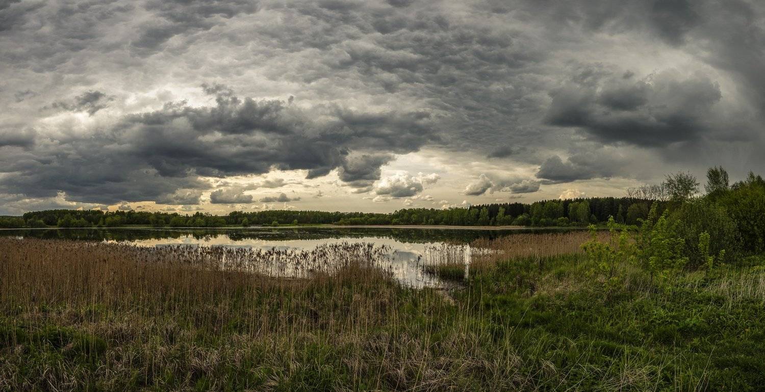 серость, залив, день, Владимир Штыриков