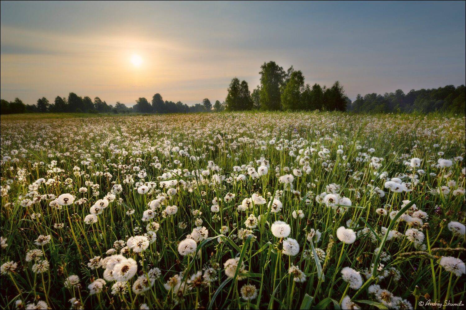 , Андрей Шумилин