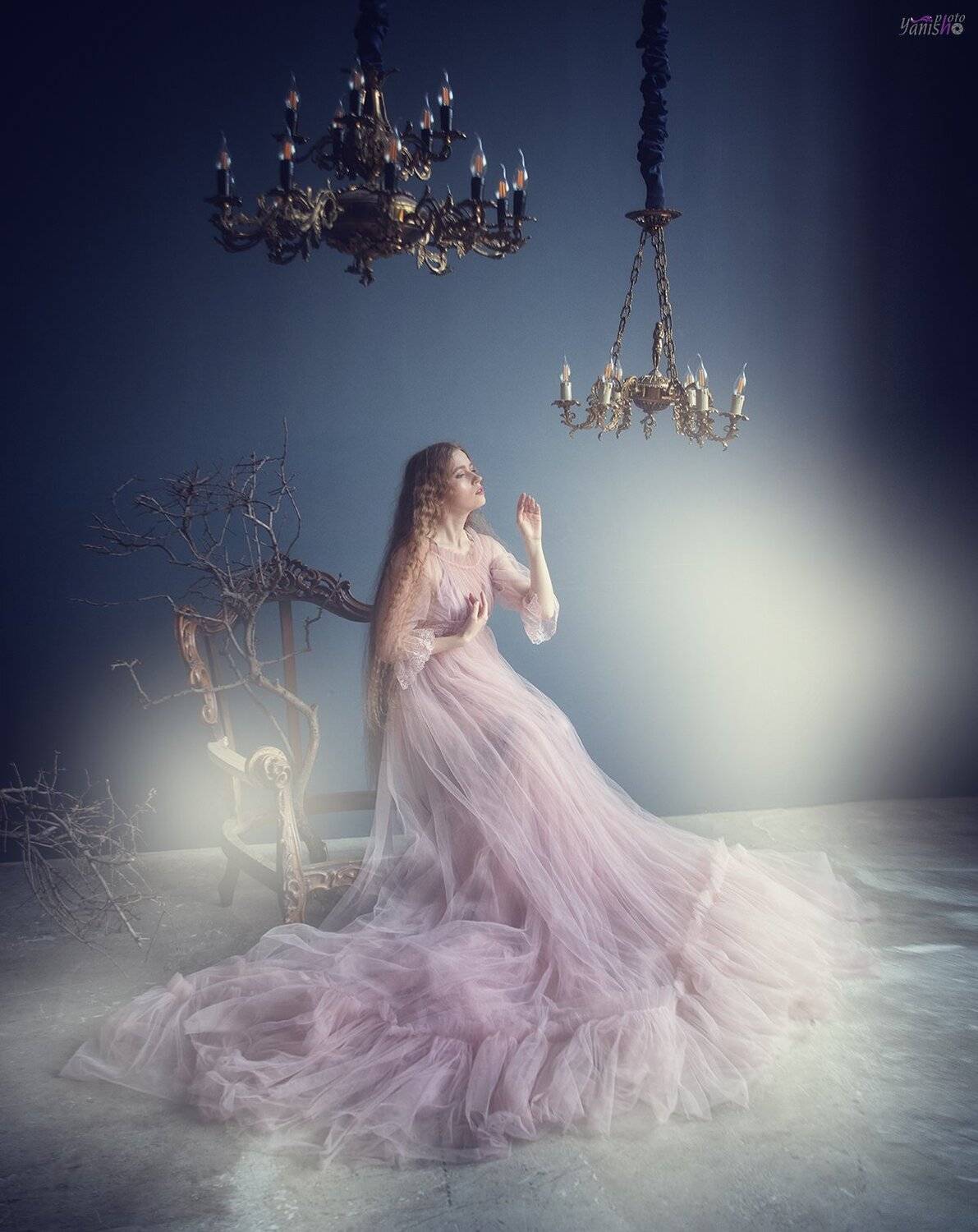 девушка, портрет, студия, арт, сухоцвет, москва, фатин, сказка, жемчуг, туман, замок, Янина Ермакова