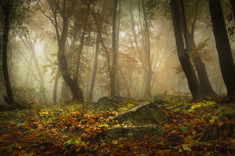 Autumn windows / Осенние окна фото превью