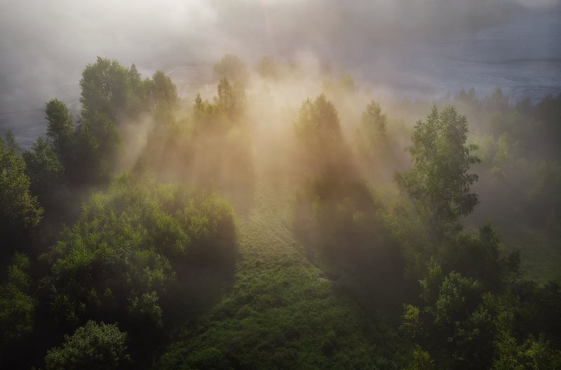 summer, trees, fog, green, sunrise, travel, nature, light, romania, morning, landscape Light Explosion фото превью