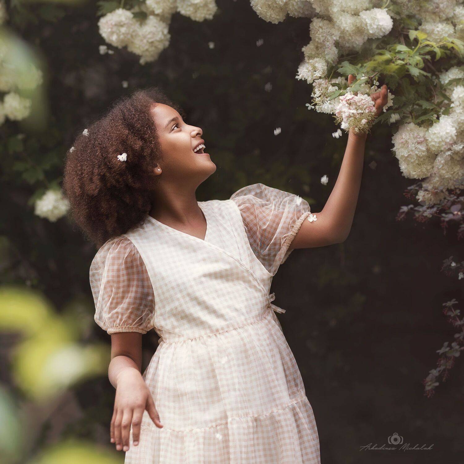 , Arkadiusz Michalak