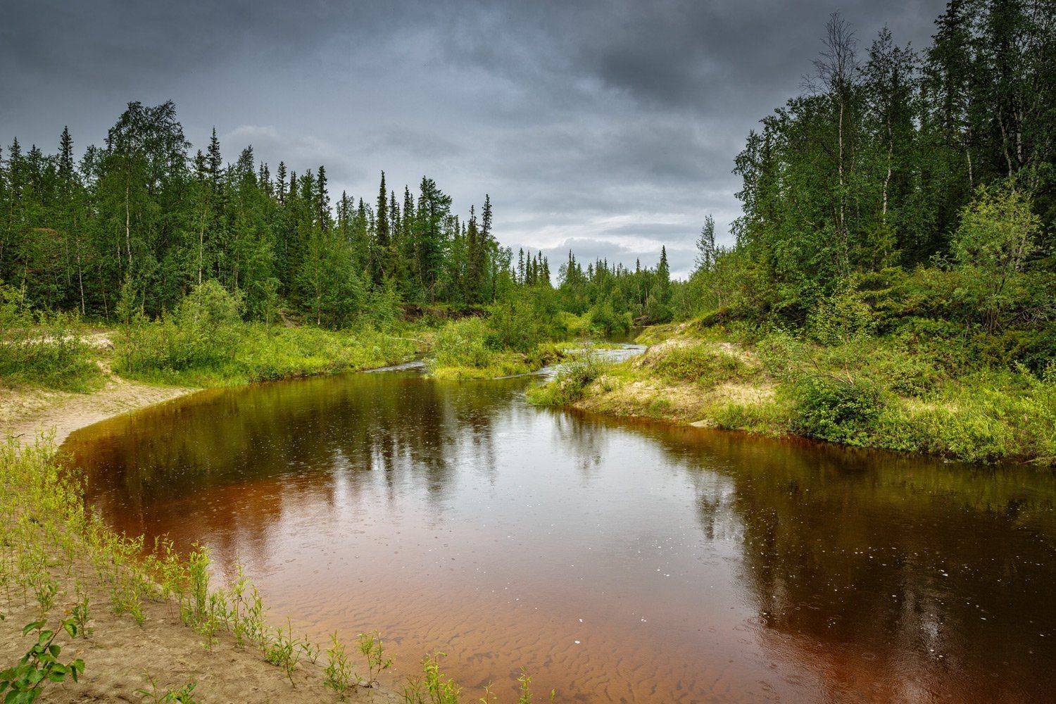 , Евгений Кужилев