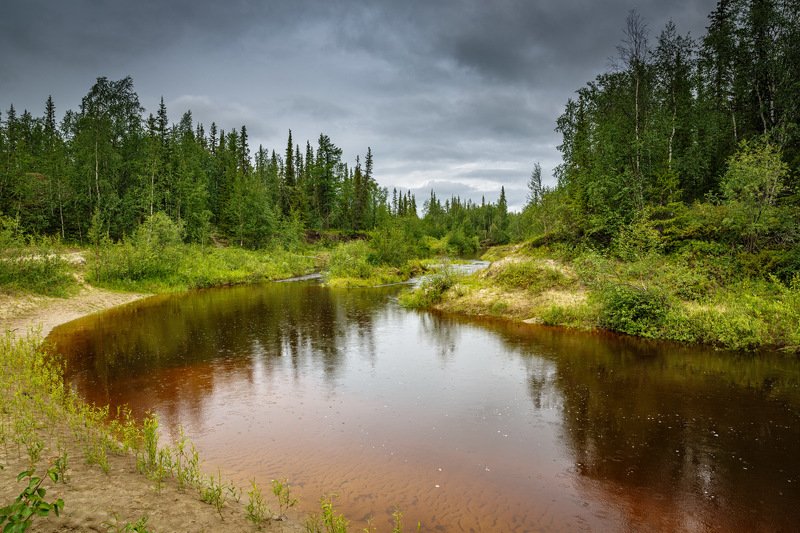 * * * фото превью