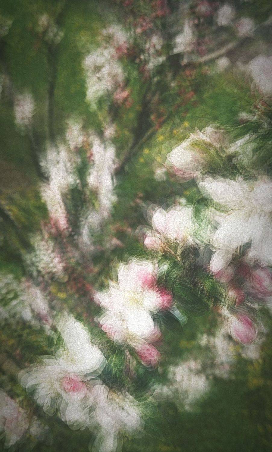 , Зоя Малхова