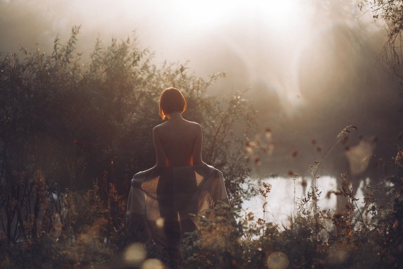 Лето фото превью