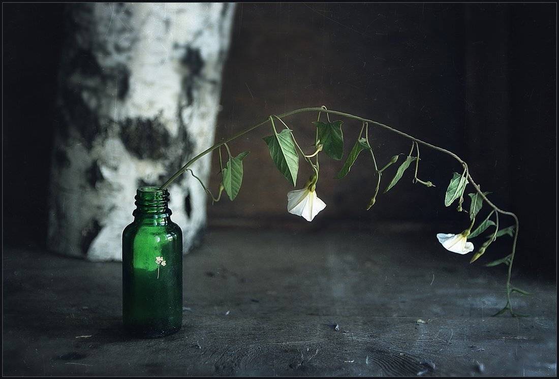 , Александр Хромеев