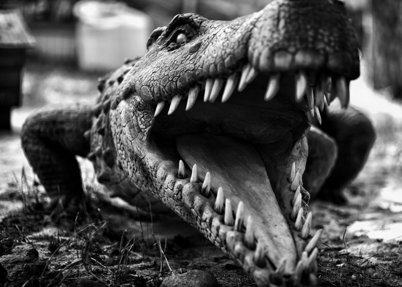 Ужас фото превью