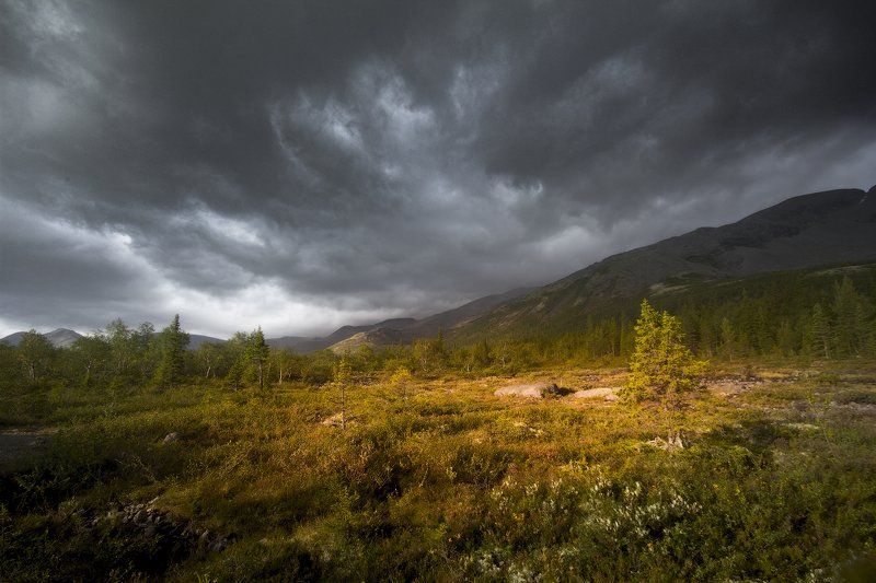 хибины, горы, дождь  фото превью