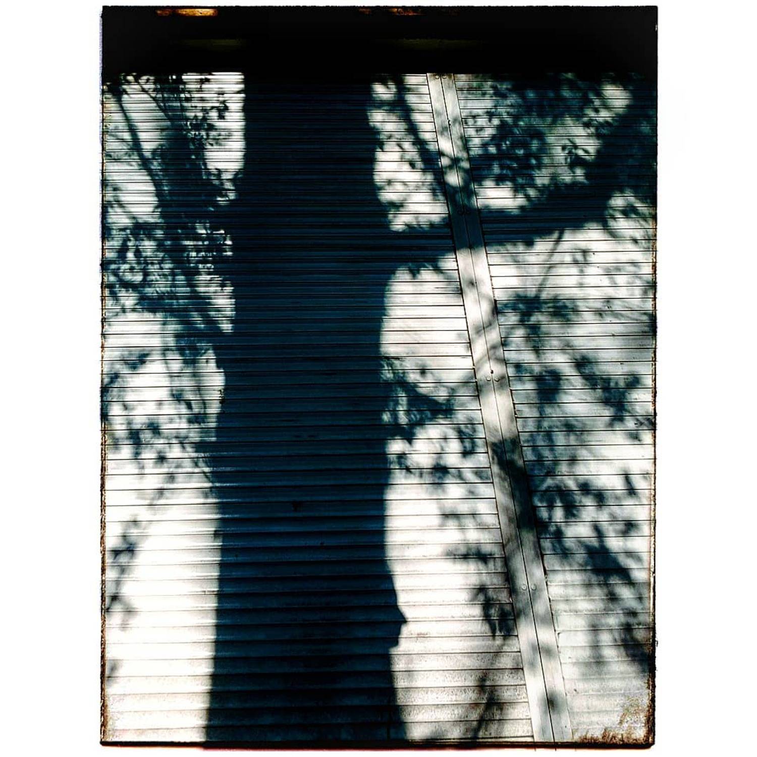 , Лолита Ташпулатова