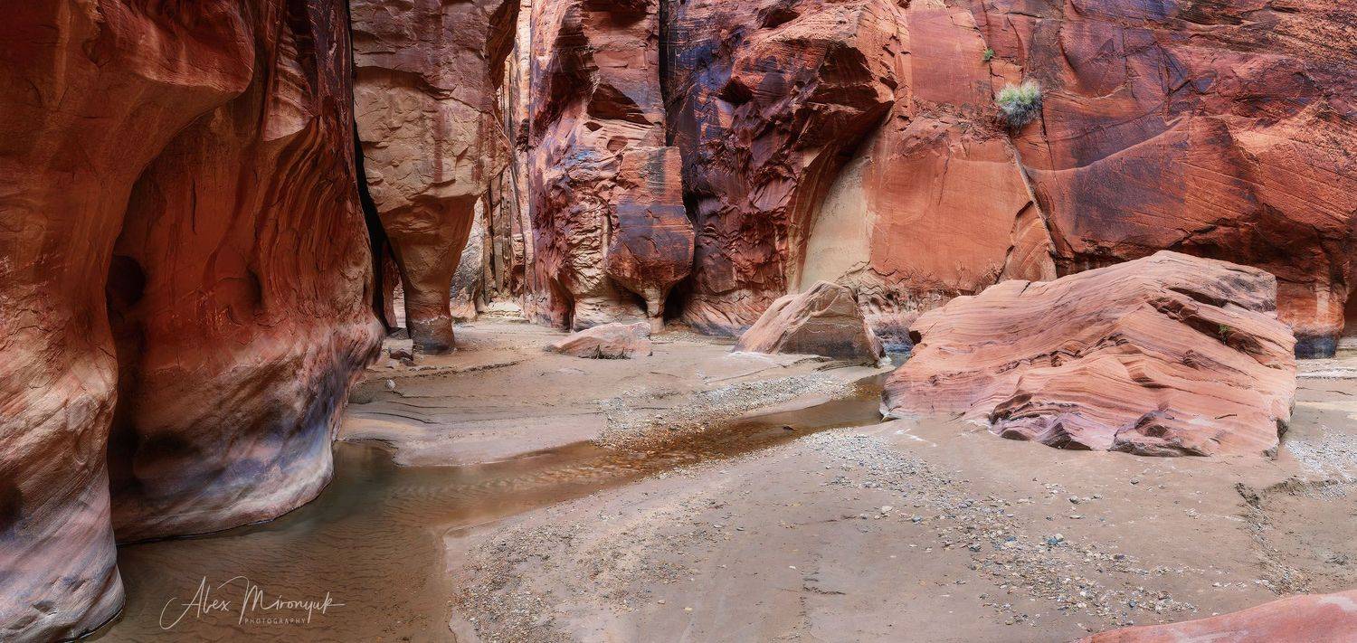 США, Аризона, Юта, каньон, щелевой, слот, пустыня, река, скала, отражение, , Alex Mironyuk