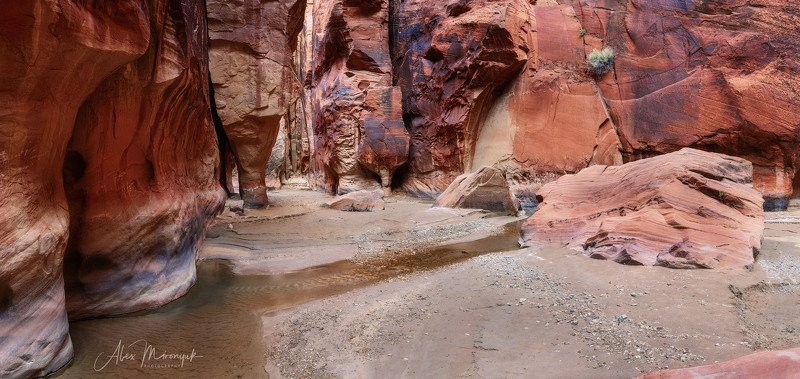 США, Аризона, Юта, каньон, щелевой, слот, пустыня, река, скала, отражение,  Каньон реки Парайя - 2 фото превью