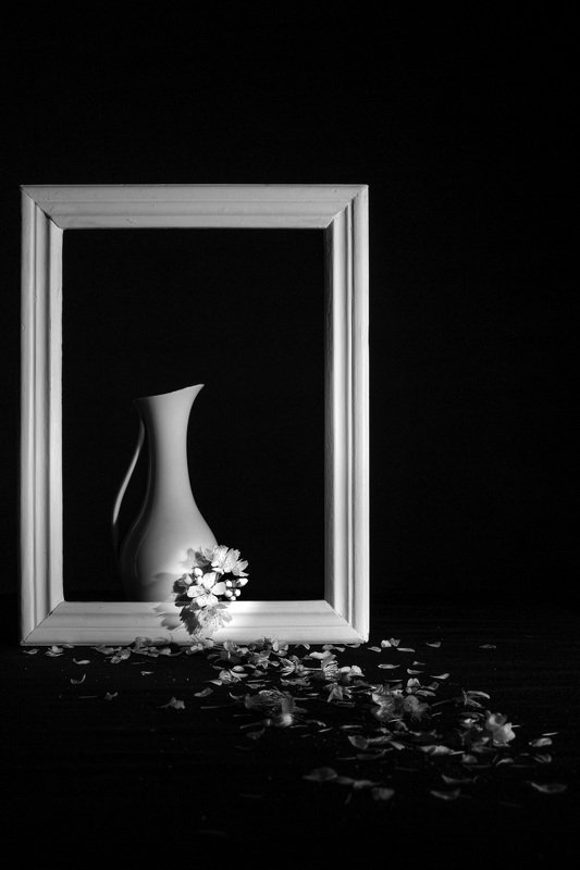 Still life in Black and White фото превью