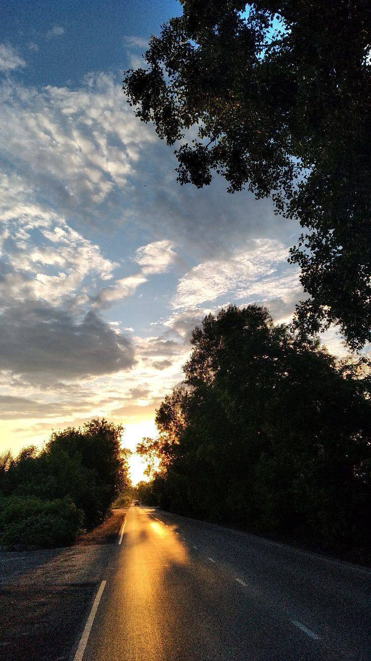 , Бахтин Вячеслав