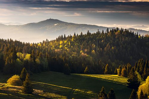 Morning in the mountains