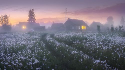 Одуванчиковые сумерки