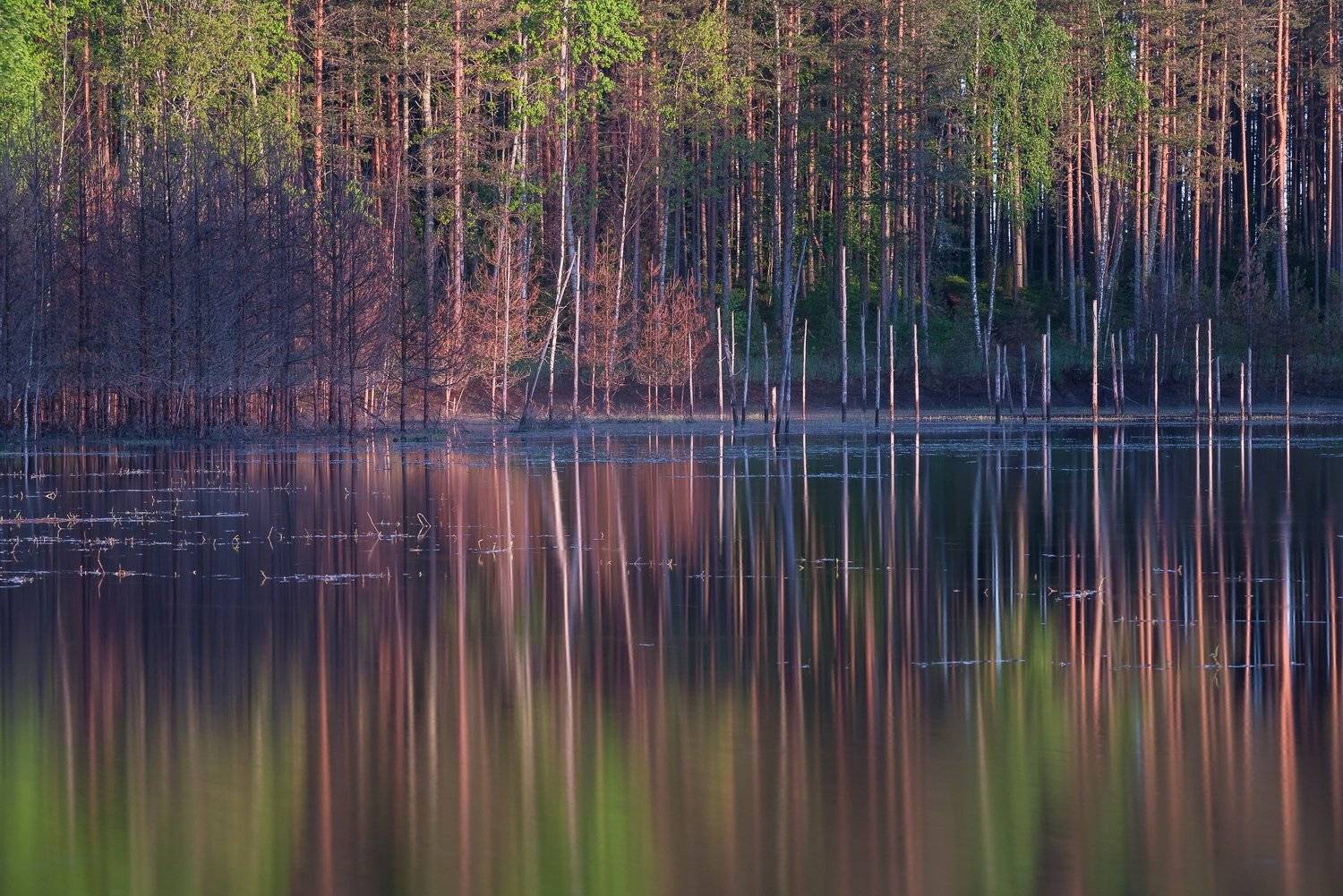 новгородская область, длинная выдержка, longexposure, Роман Фабричный