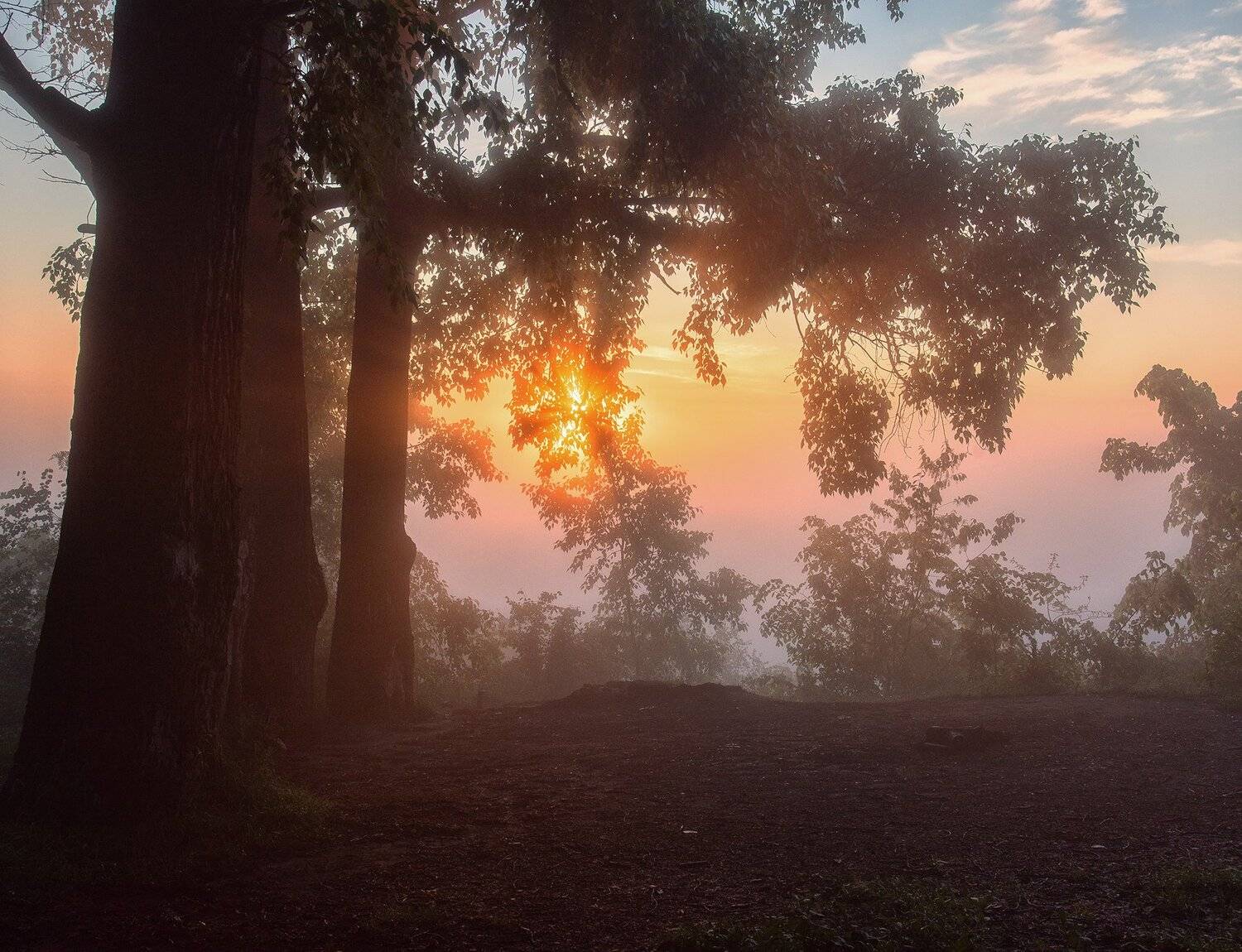 рассвет,Вятка,Россия,Киров,Солнце,небо, Карепанов Евгений