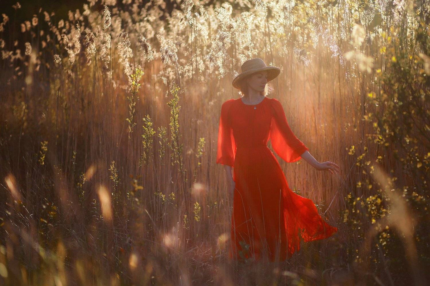 портрет, девушка, красота, платье, закат, на природе, вечерний свет, шляпа, жанр, жанровый портрет, женщина, красивая, силуэт, Постонен Екатерина