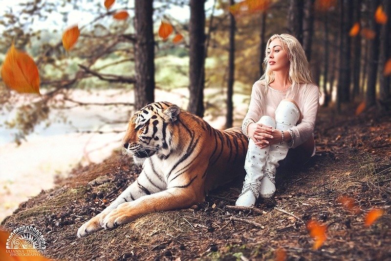 *** фото превью