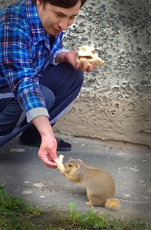 фото превью