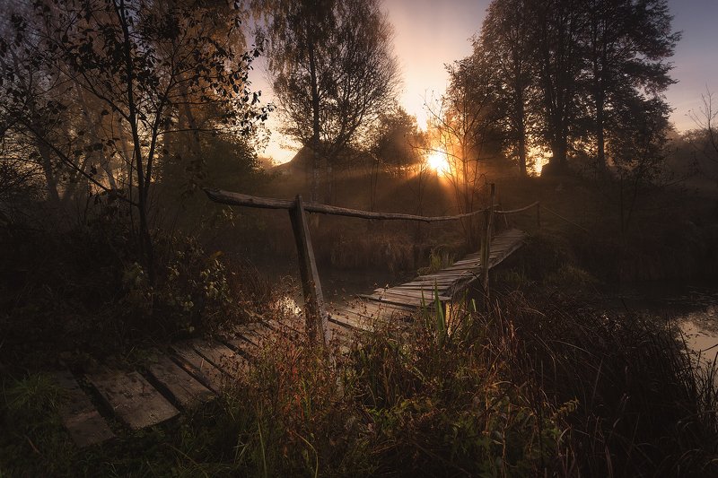 The Bridge фото превью