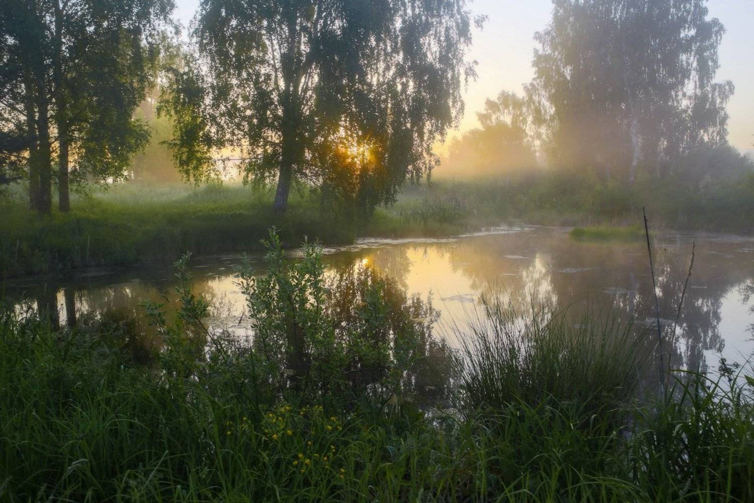 утро туман  б.холм вода состояние, Дмитрий Алексеев
