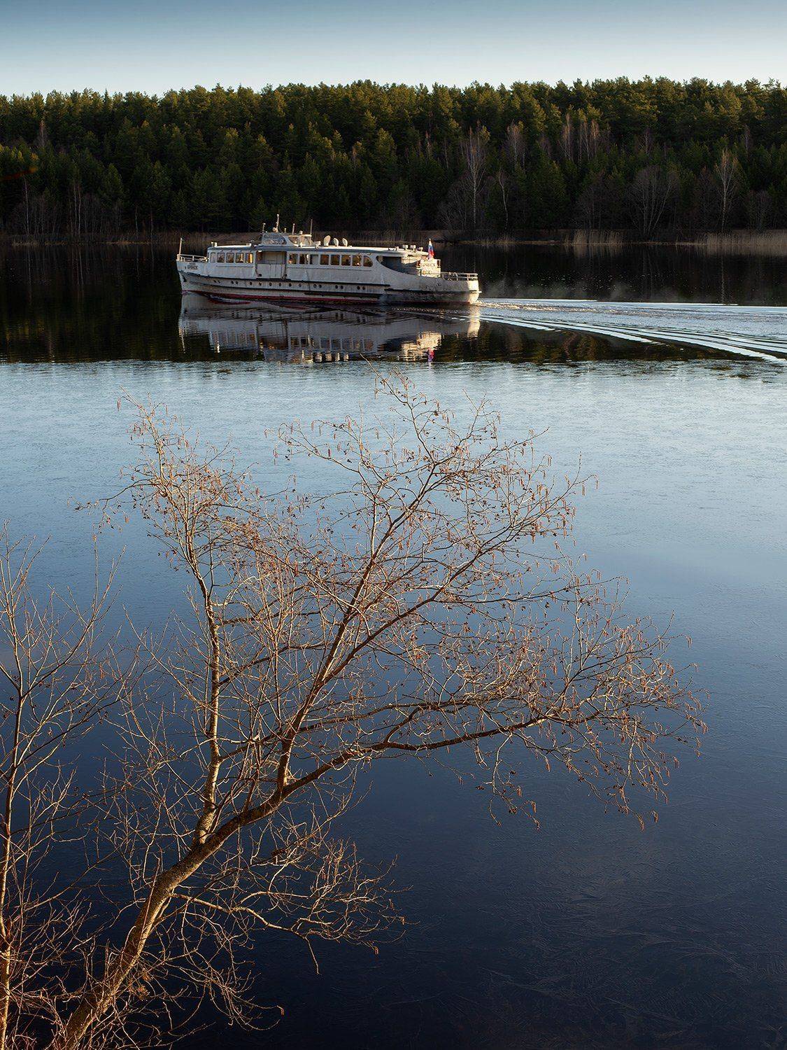 , Федотов Антон