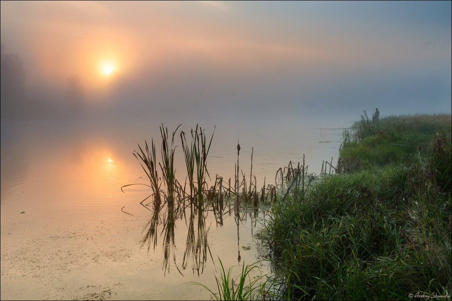 , Андрей Шумилин