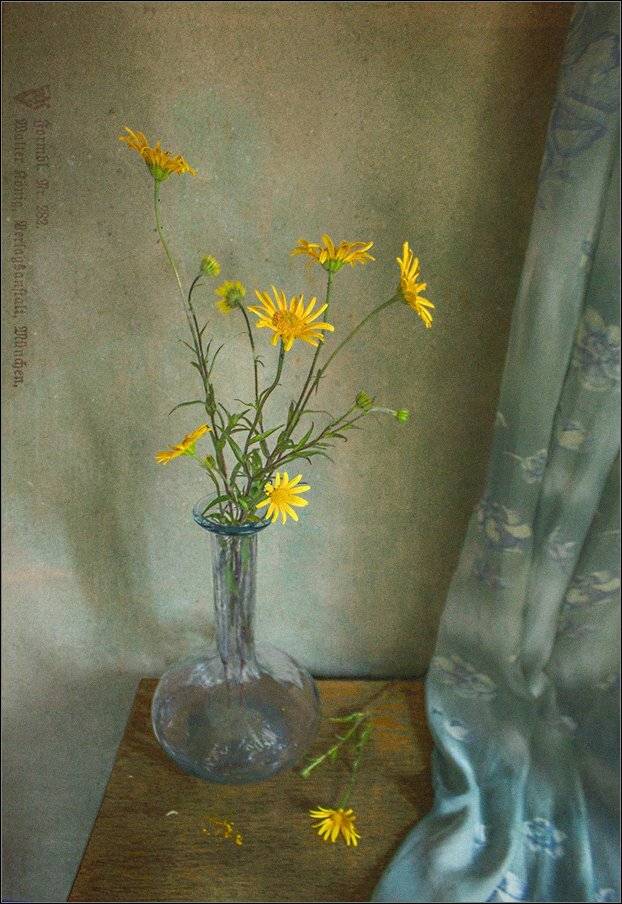 , Stein Georg