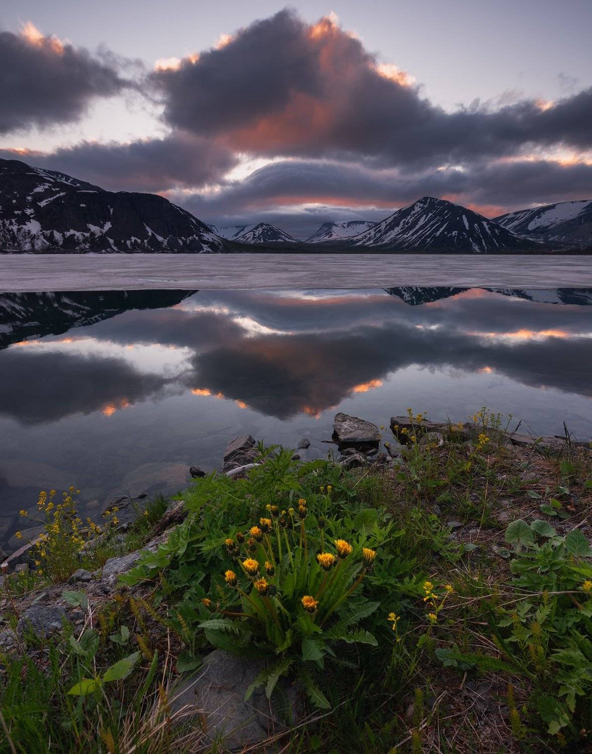 пейзаж,хибиногорск,озро,лето,полярный день,отражение,горы,снег,цветы,закат,рассвет, Виталий Истомин