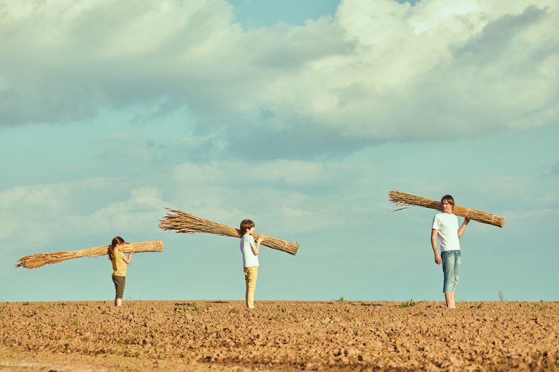 минимализм Дом на дереве. Крыша фото превью