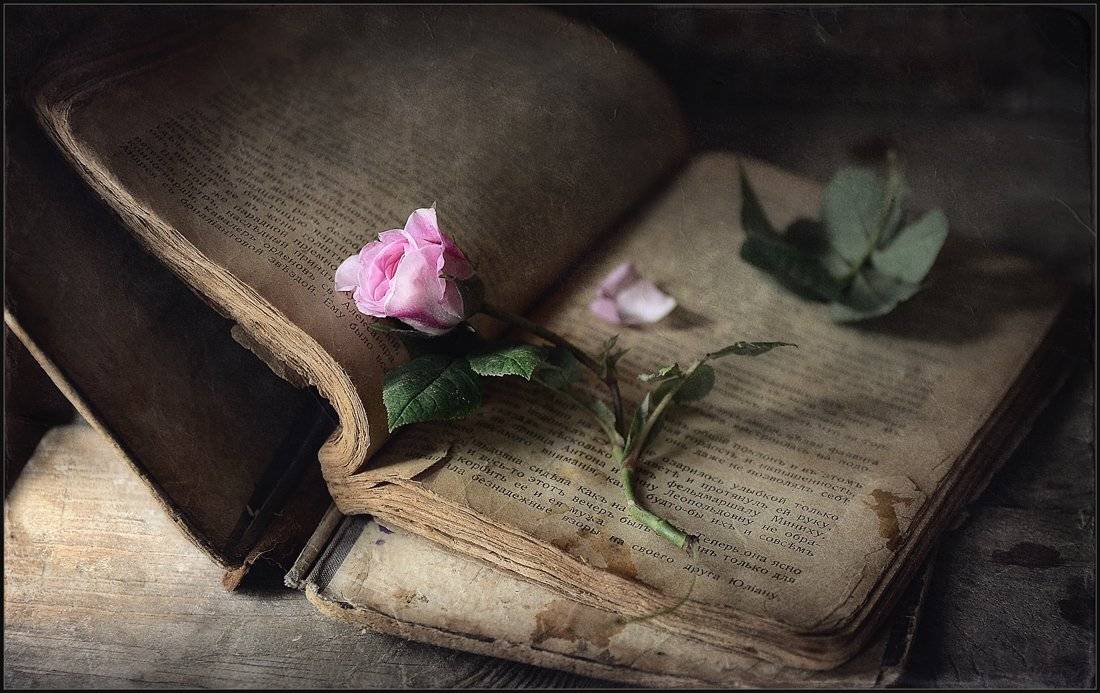 , Александр Хромеев