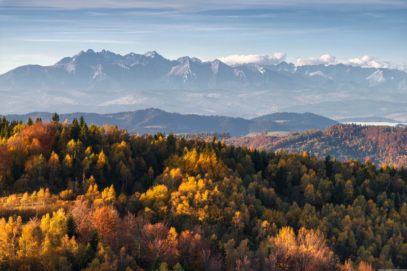 #forest #mountains #autumn #sunset #nature #panoramic #landscapes Panorama of High Tatra mountains in Poland фото превью