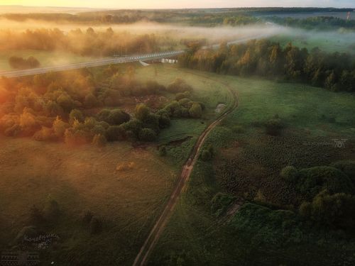 Утренняя нега