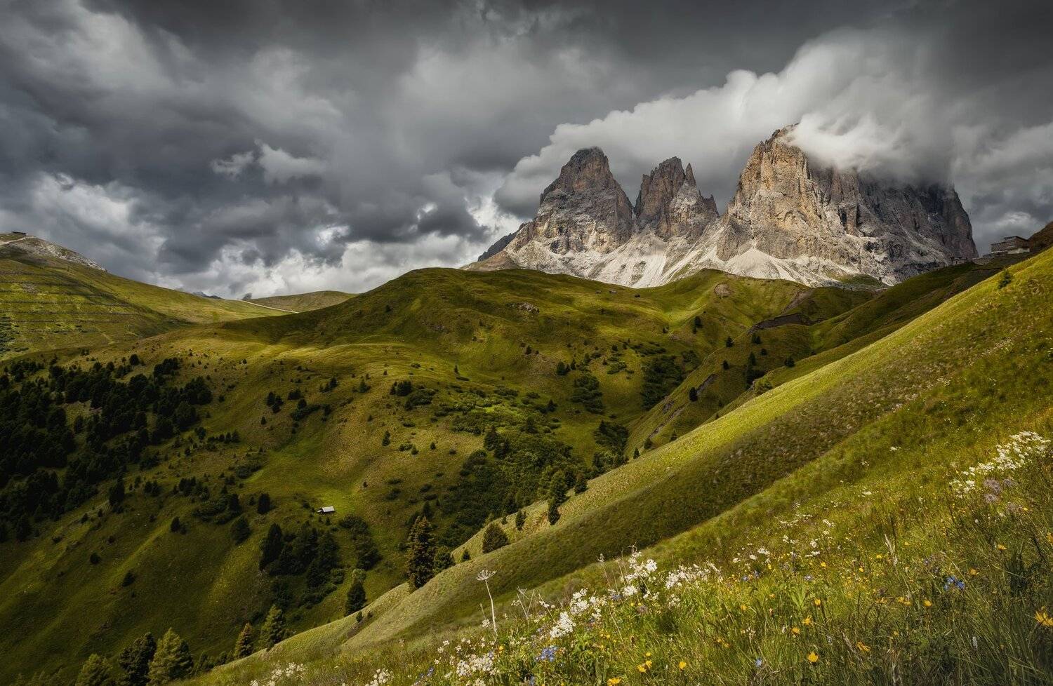 горы, поля, Александр Безмолитвенный