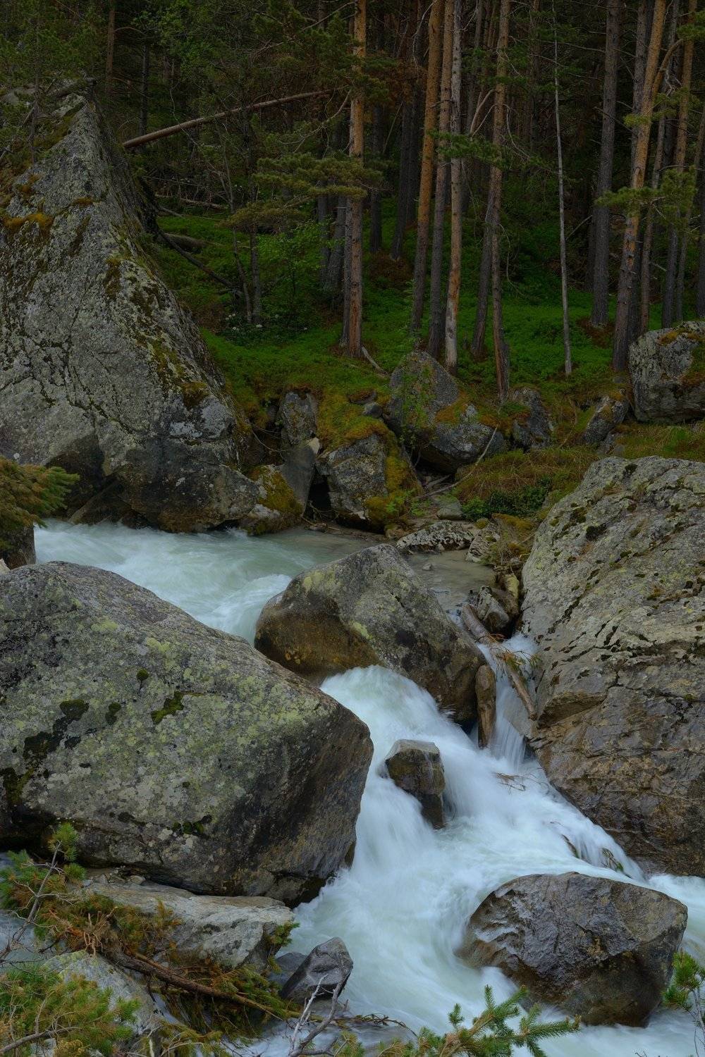 горы лето чиринкол, Александр Жарников