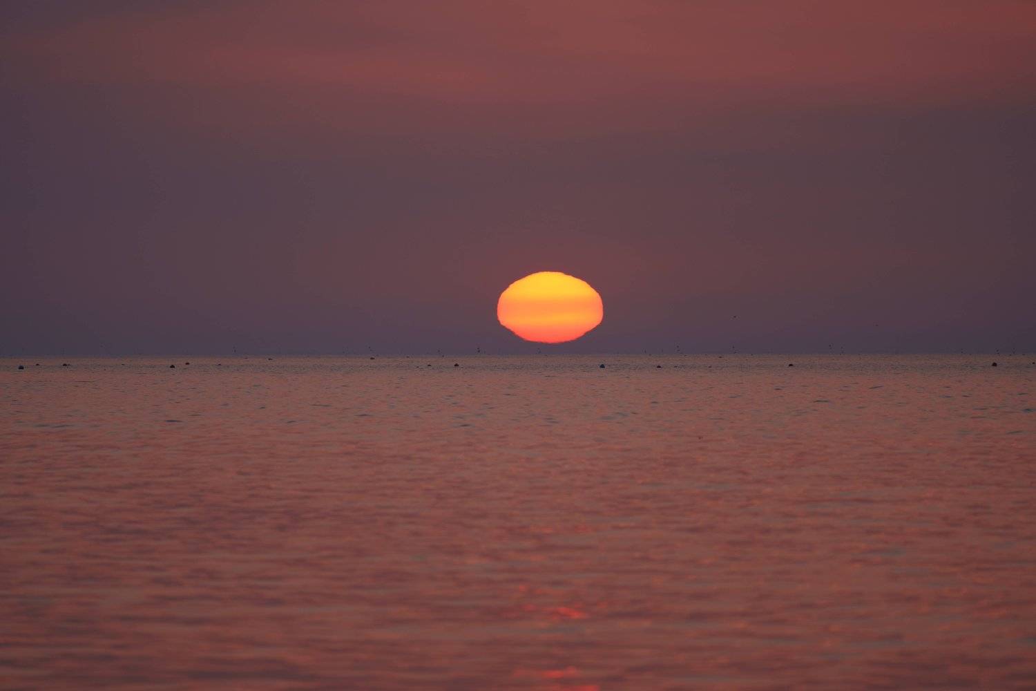 south korea,gyeongsangbukdo,pohang,sunrise,sea,seascape,sun,horizontal,sunlight,cloud,meditation, Shin